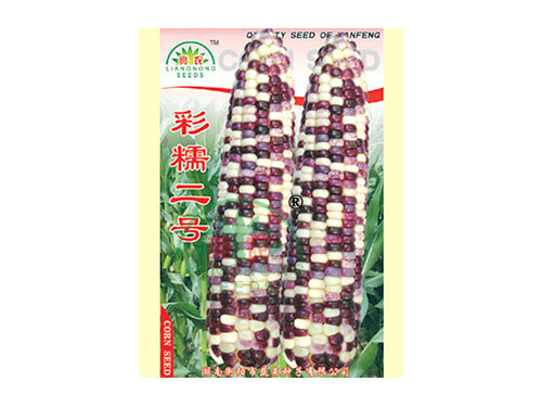 彩糯二號(hào) 彩糯二號(hào)